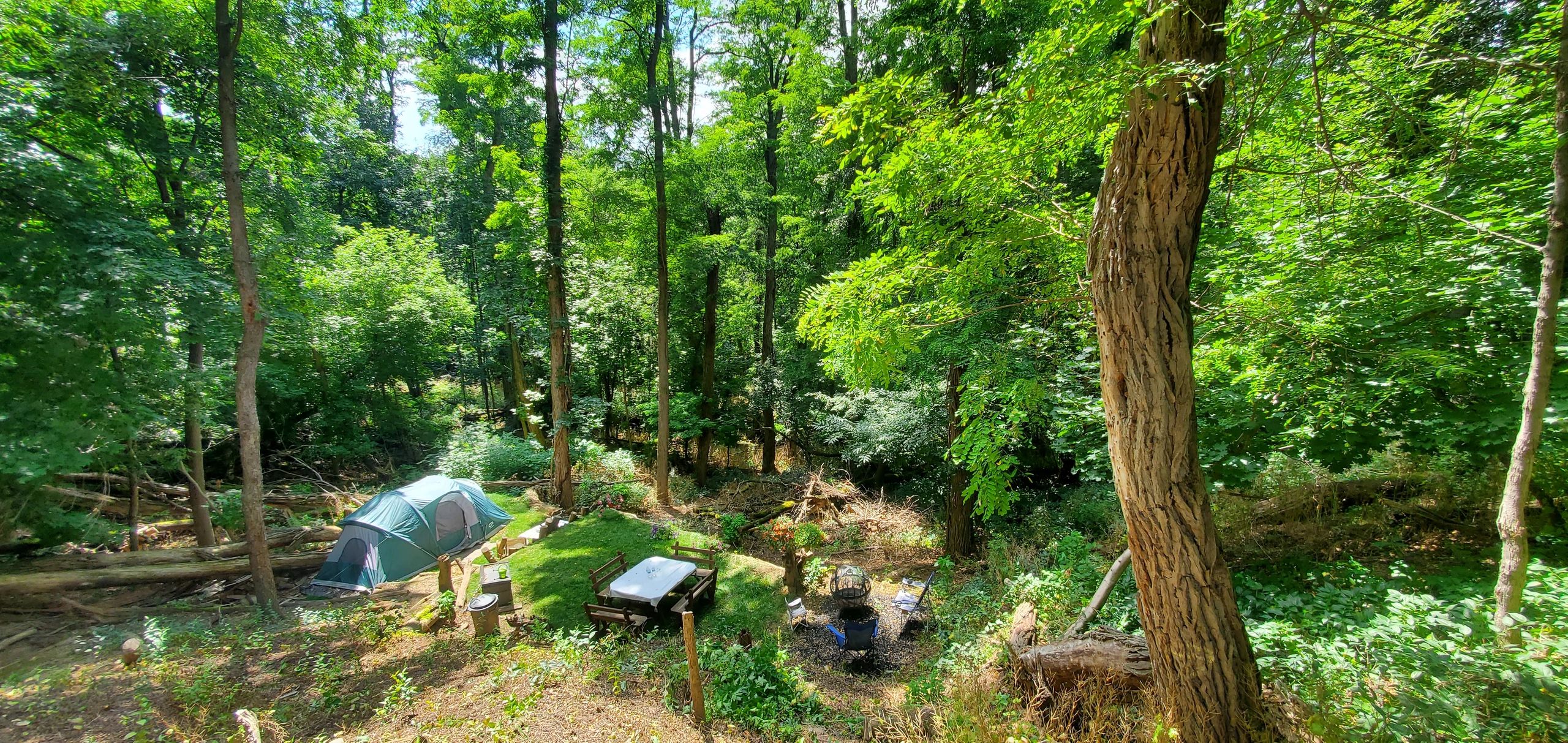 A peaceful forest campsite with a tent, picnic table, and fire pit surrounded by lush greenery.