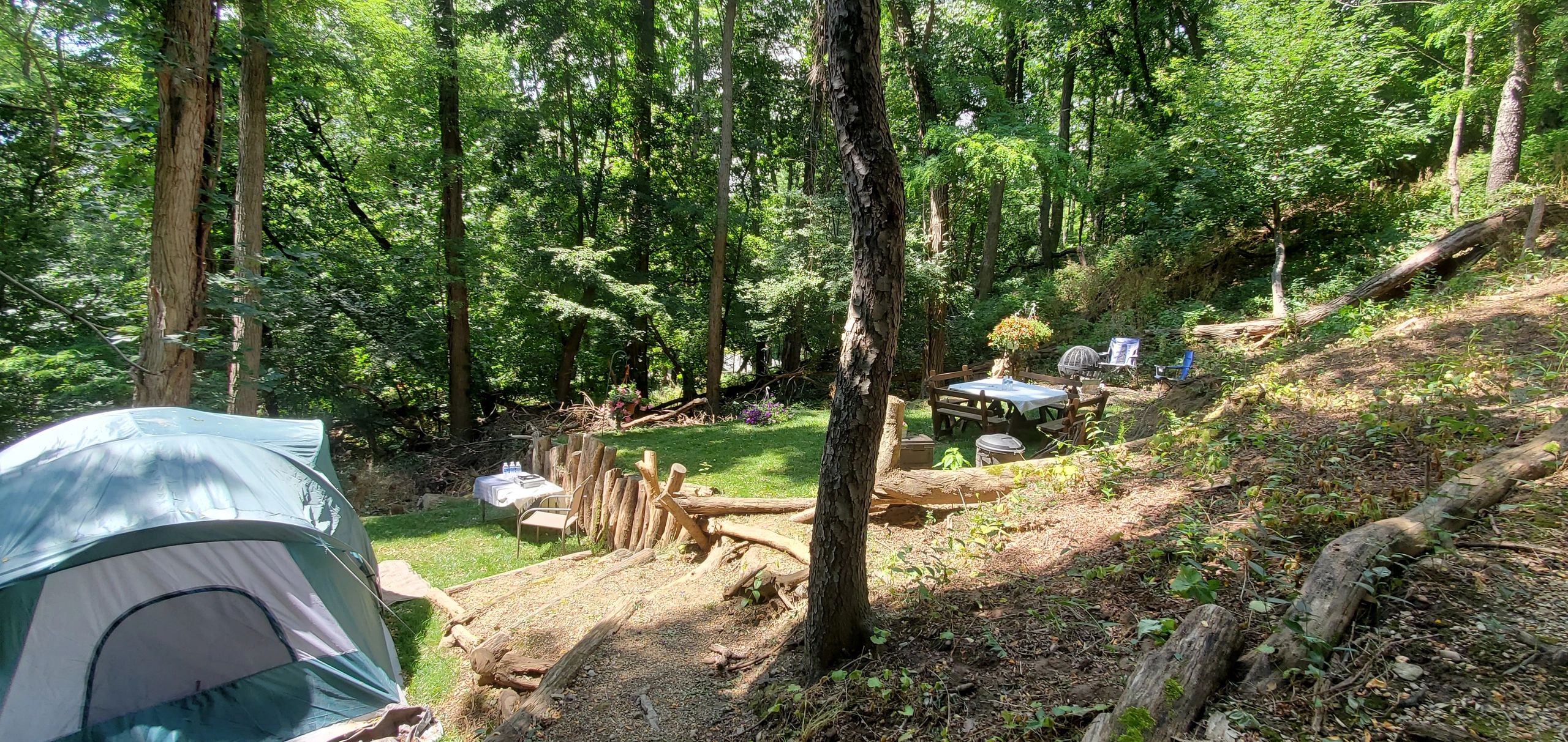 Camping site with a tent, picnic table, and forest surroundings.