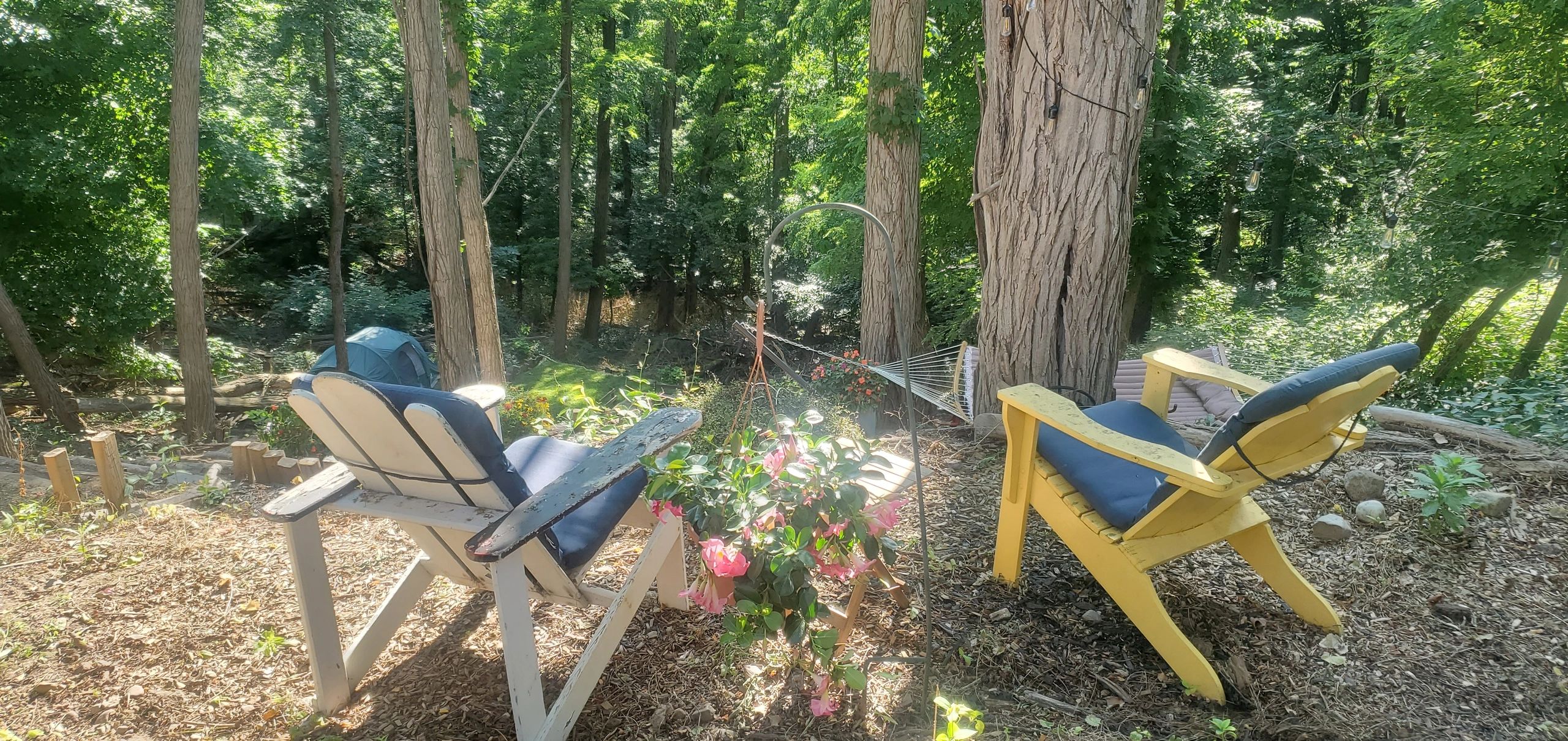 Two chairs and a hammock in a sunlit forest clearing.