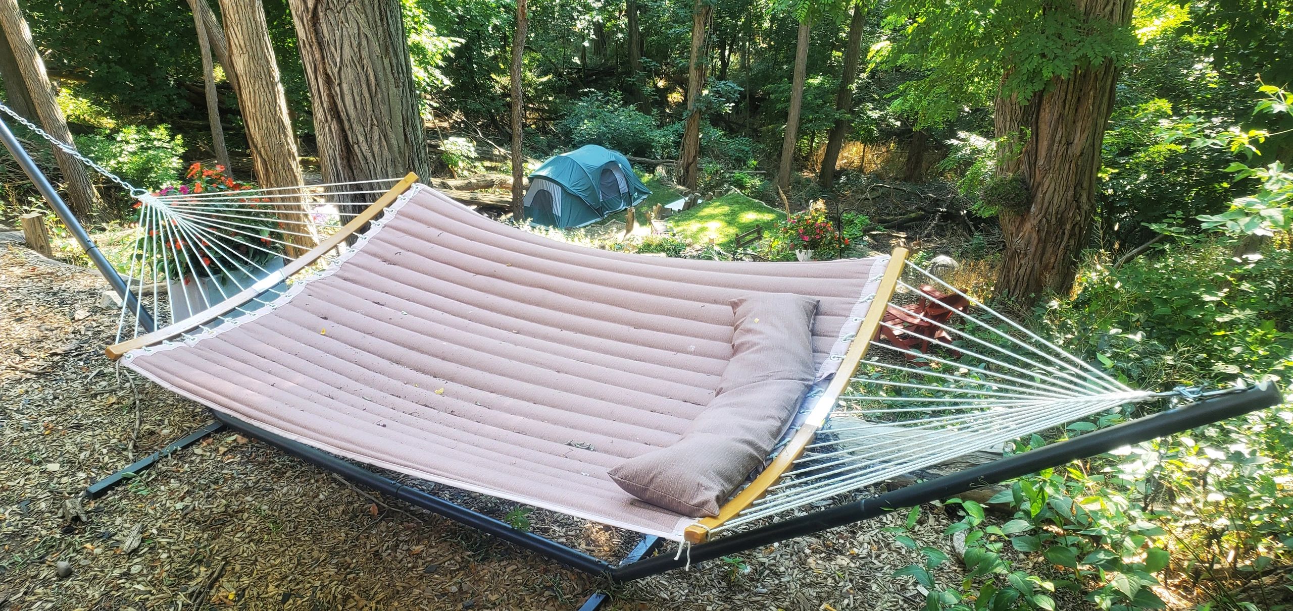Cozy hammock in a lush forest campsite with a tent in the background.