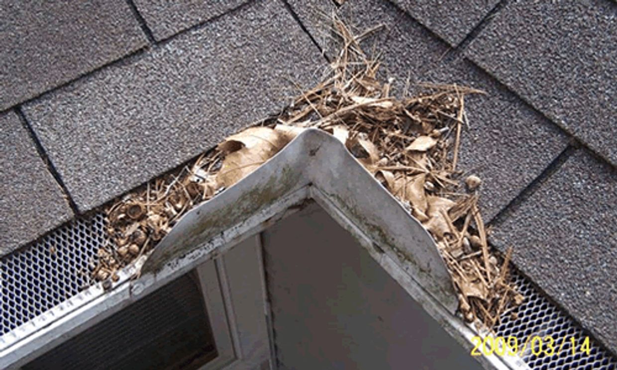 Clogged gutters cause problems. Get a free estimate and inspection 256-809-9944
