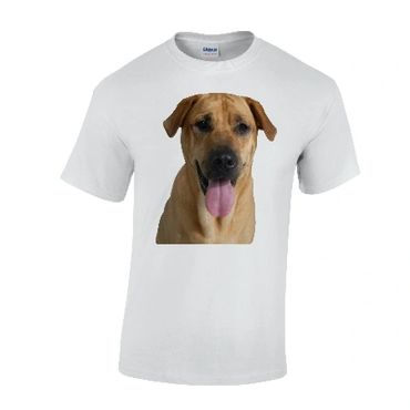 Camiseta Estampada Transfer