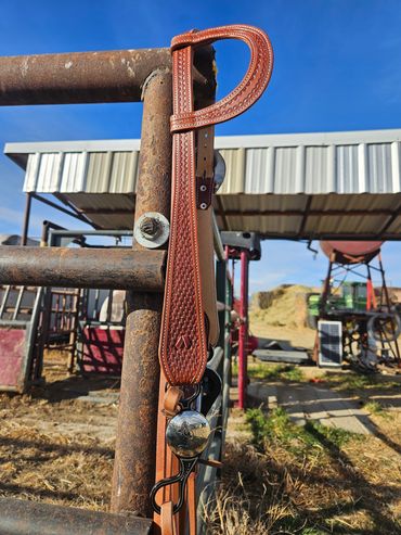 Custom single ear bridle with custom buckles & bit
