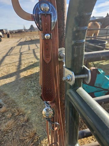 Custom single ear bridle with custom buckles & matching bit