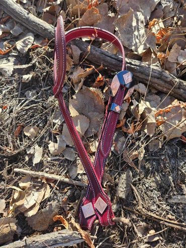 Custom single ear bridle with custom buckles