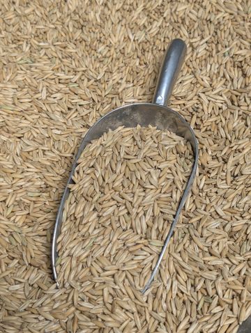 Curve Feed's Whole Oats