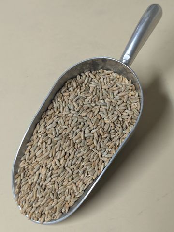 Curve Feed's Guardian Rye