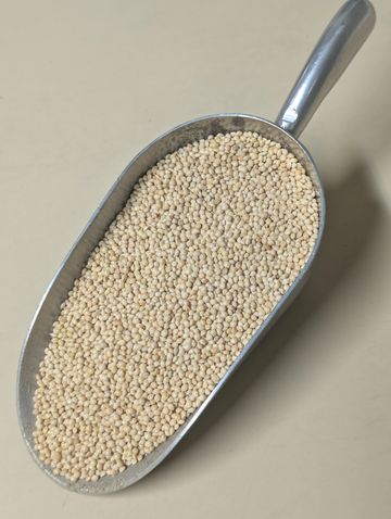 Curve Feed's White Millet