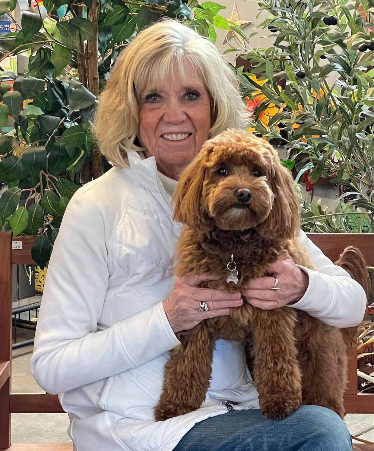 Woman holding a fluffy brown dog.