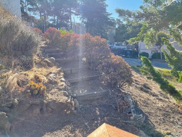 Sunlit garden steps with succulents and dry brush on a sunny hillside.