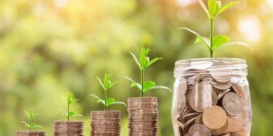 Registered retirement savings plans