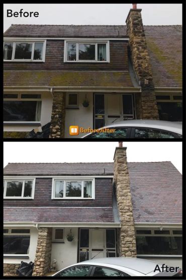 Moss Removal Services Glasgow