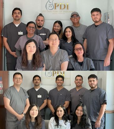 Two group photos of medical staff from PDI wearing scrubs.