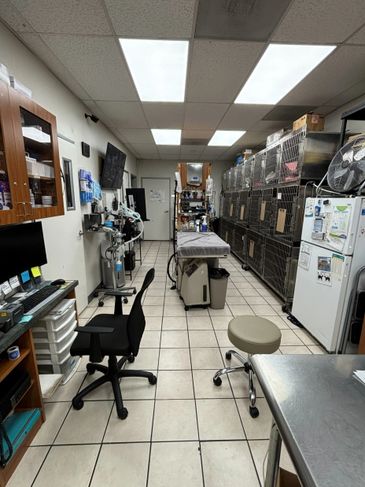 Veterinary clinic treatment room with cages and equipment.