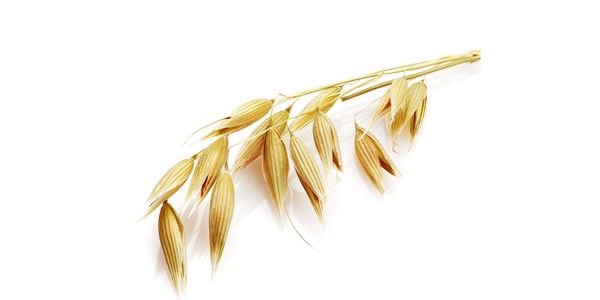 Ingredient list for anti-frizz hair treament at the best hair salon in Singapore.