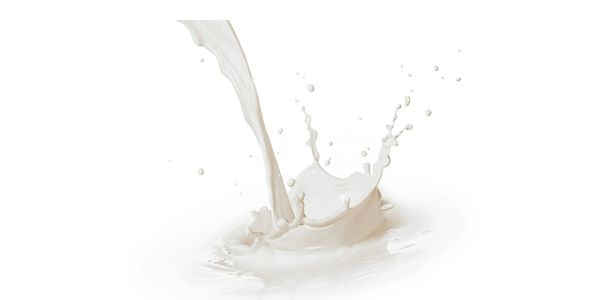 Ingredient list for anti-frizz hair treament at the best hair salon near me.