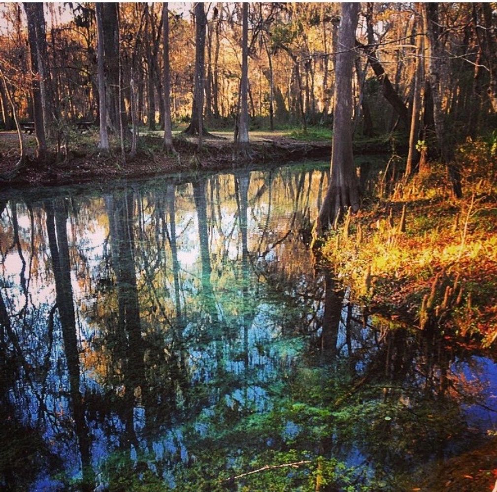 Springs