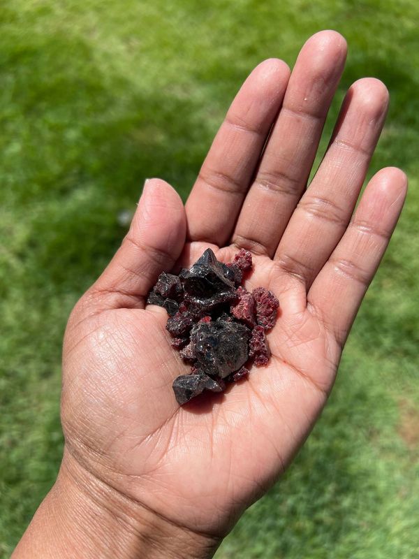 Mardawud, Bush medicine, Pilbara Bush medicine, jami