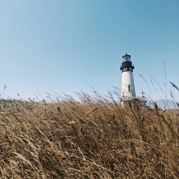 A lighthouse stands tall behind a field of golden grass under a clear blue sky.