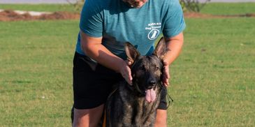 A person training a German Shepherd in a grassy field.