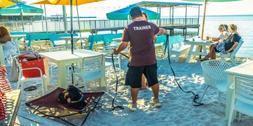 A dog trainer works with a dog on a sandy beach patio with people relaxing nearby.