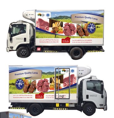 VEHICLE GRAPHICS  310 PICKUP