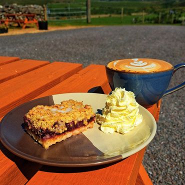 Berry and custard cake served at a scenic spot, a delightful treat during your Kerry adventure