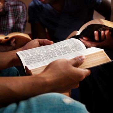 People reading and discussing from open books, likely Bibles.