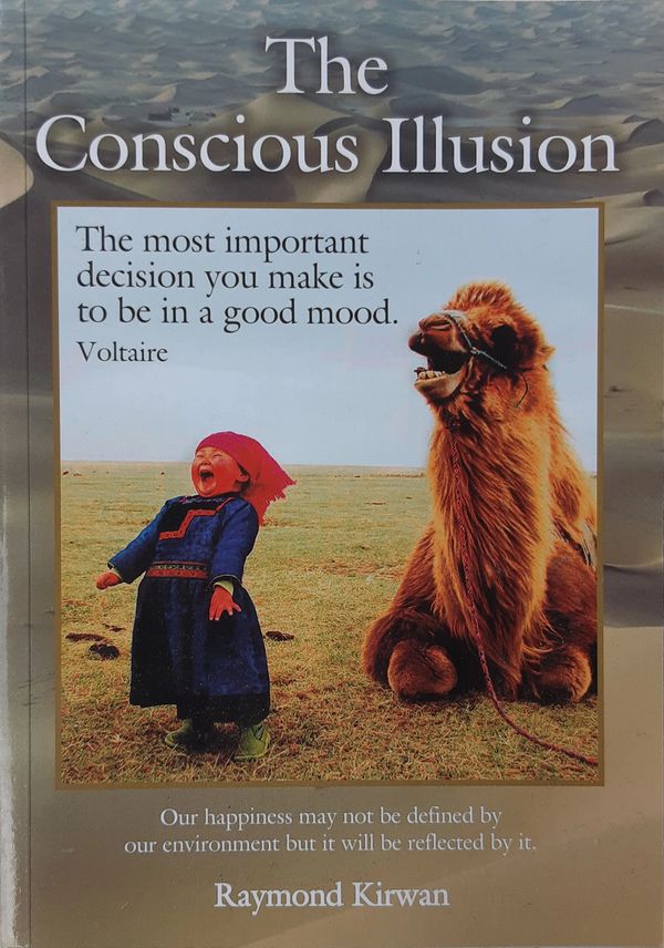 The Conscious Illusion - Cover of book