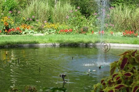 Garden pond with a small fountain and colorful flowers in the background.