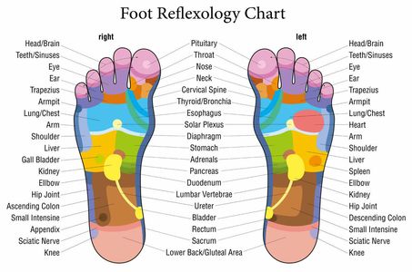reflexology feet chart
