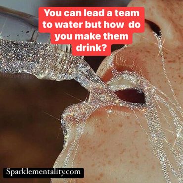 Sparkle Leadership in Motion