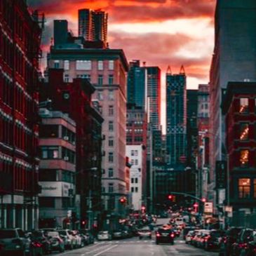 Padma McCord Real Estate Investor sees automobiles.services domain is top automobiles domain.