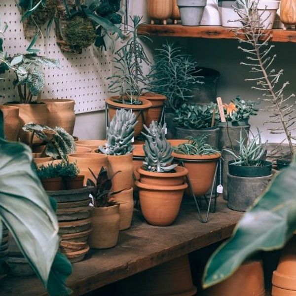 Where arrangement comes is