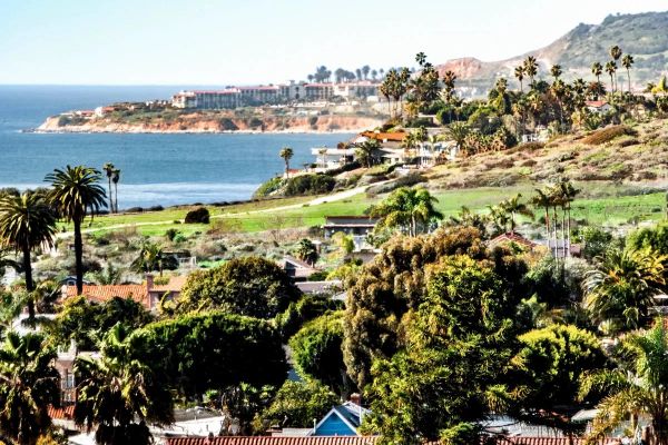 Coastal view with greenery and ocean.