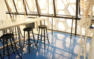 Empresa de construcción cdmx