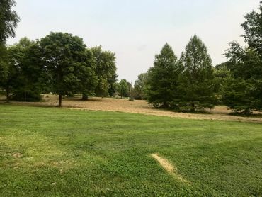 Newly bush hogged field looks beautiful