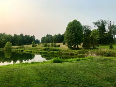 Beautifully brush hogged field on the side of a pond