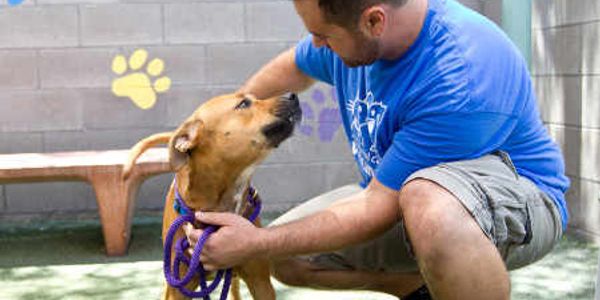 Man affectionately petting a dog.