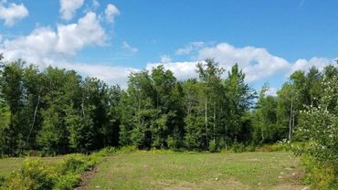 Food plot installation