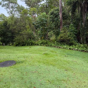 Lush green garden with tall trees under a cloudy sky.