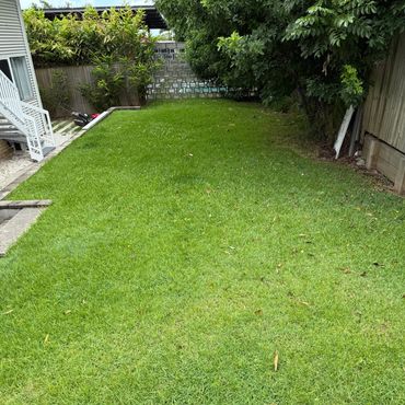 A lush green lawn in a backyard with surrounding plants and a lawnmower.