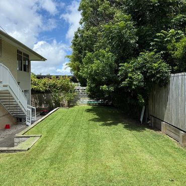 A sunny backyard with green grass, trees, and a house with stairs.