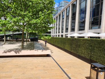 Boxwood hedge wall used for privacy screening at Lincoln Center