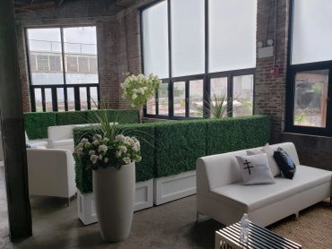 4' Boxwood Hedges in White Planters for Corporate Event Rental