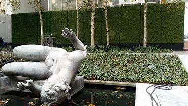 Privacy Boxwood Hedge Rental for Activation at the Museum of Modern Art