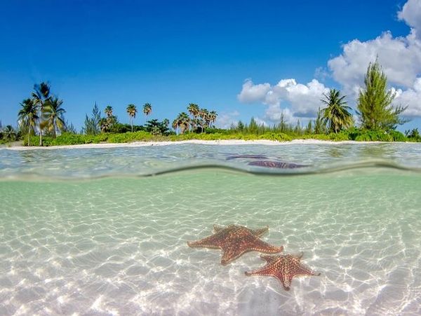 Starfish point cayman