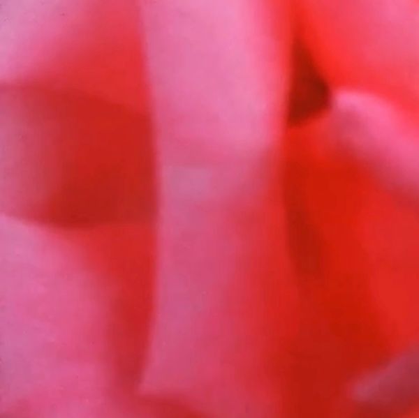 Abstract close-up of a red/pink object.