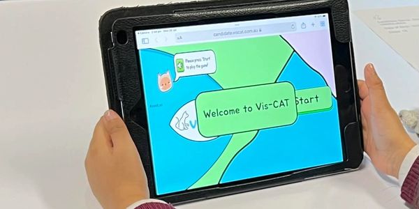 This is VistCat a specialised platform designed to assess children for visual processing disorders.