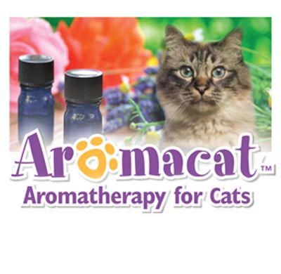 Aromatherapy for cats